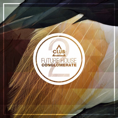 Future House Conglomerate Vol.2