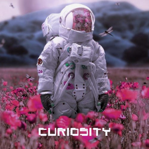 Cover art for Curiosity