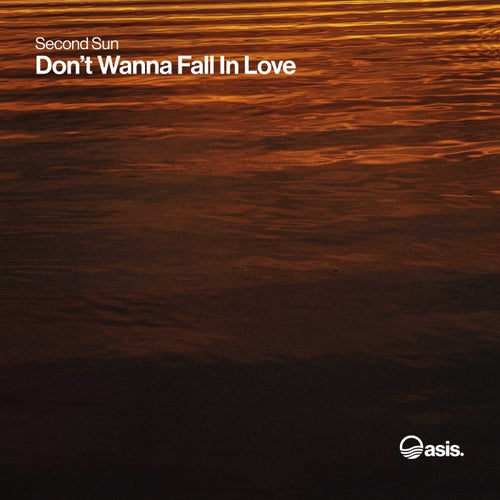 Don't Wanna Fall In Love