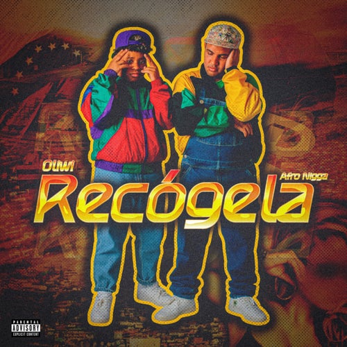Recogela