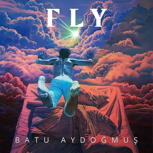 Cover art for Fly
