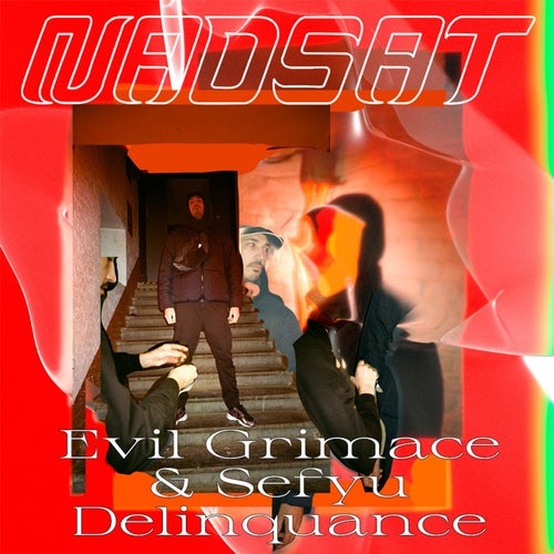 Delinquance (feat. Sefyu)