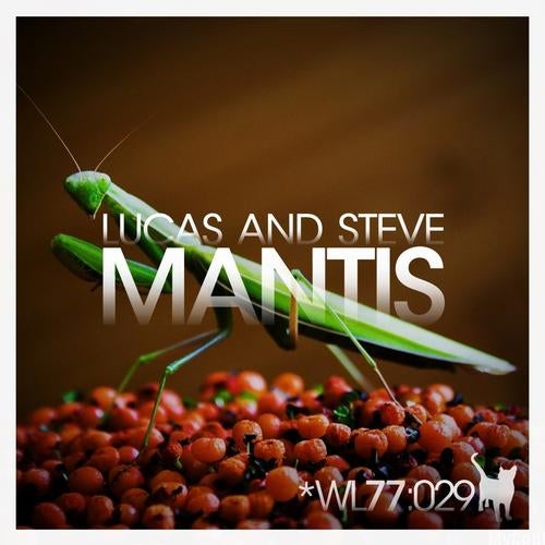 Mantis