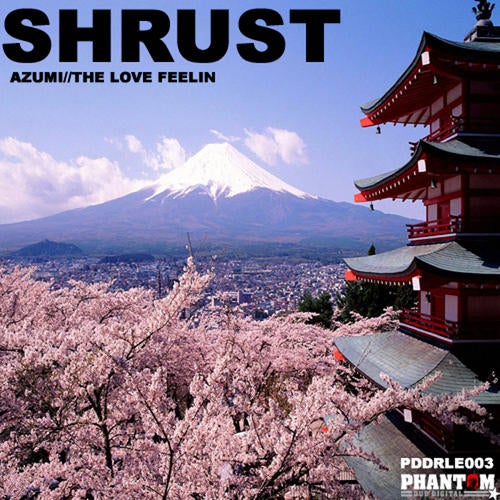Azumi / The Love Feelin
