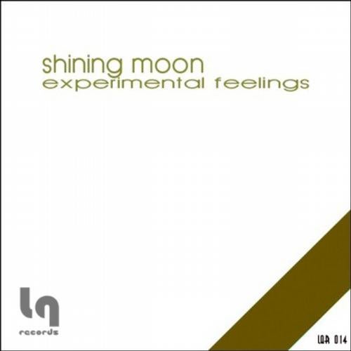 Shining Moon