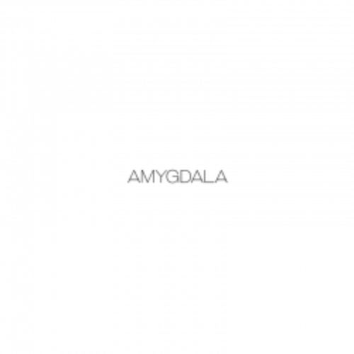 Amygdala Sound