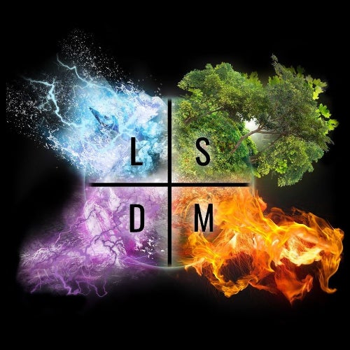 LSDM