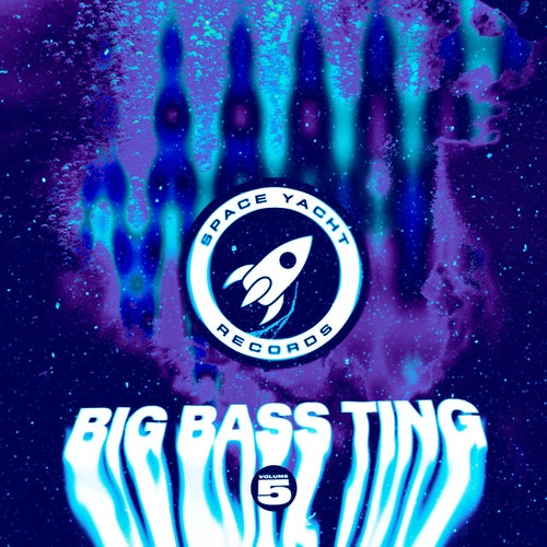 Cover art for Big Bass Ting Vol. 5