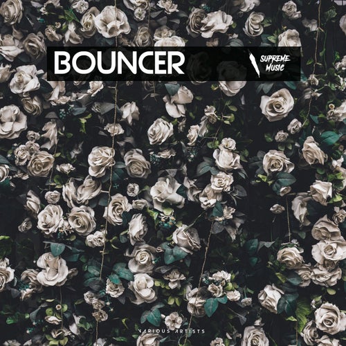 Bouncer