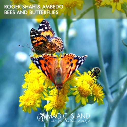  Roger Shah & Ambedo - Bees And Butterflies (2024) 