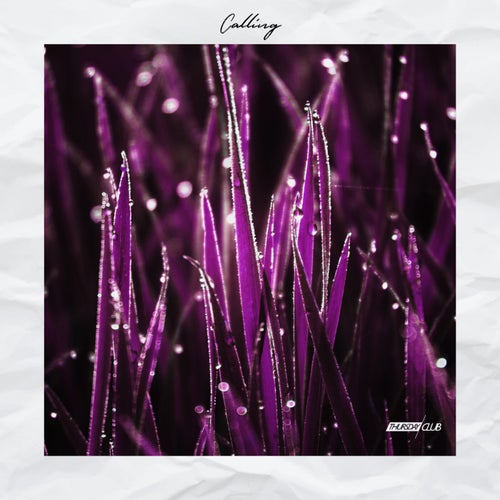 Cover art for Calling