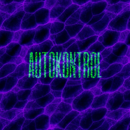 Autokontrol