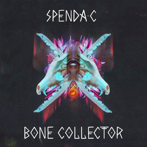 Cover art for Bone Collector