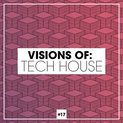 Visions Of: Tech House Vol. 17