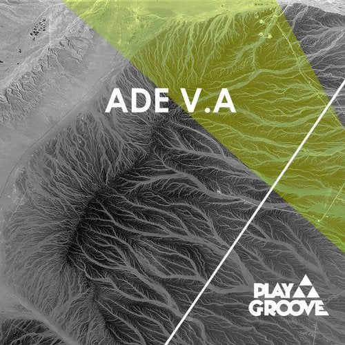 Cover art for ADE V.A