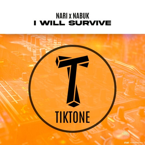 Nari, Nabuk - I Will Survive (Original Mix) [2024]