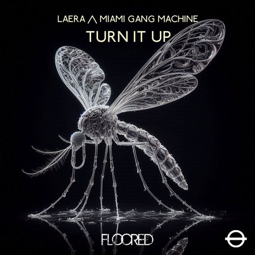 Turn It Up