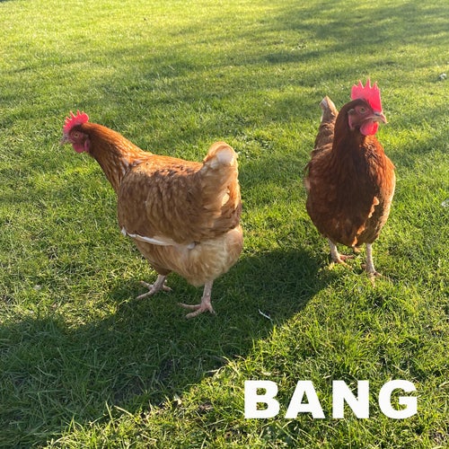 BANG