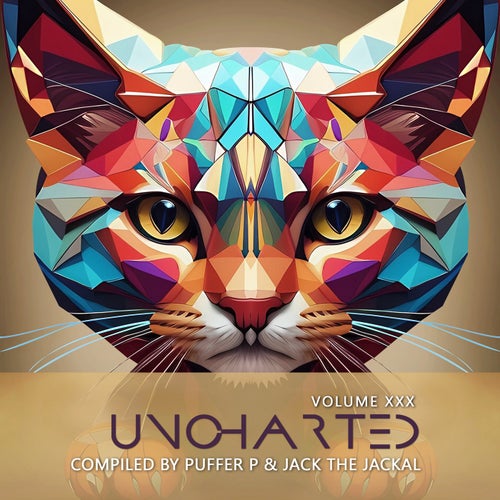 VA - Uncharted Vol.30 [Dacru Records]