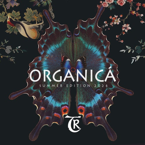 Organicá - Summer Edition 2026
