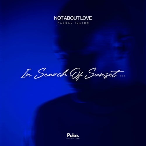 Not About Love (Extended Mix)