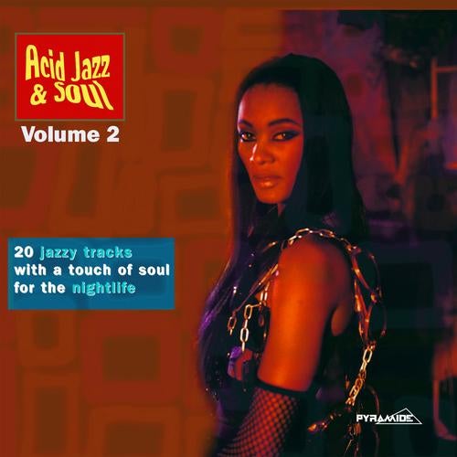 Acid Jazz & Soul Volume 2 - 20 Jazzy Tracks With A Touch Of Soul For The Nightlife