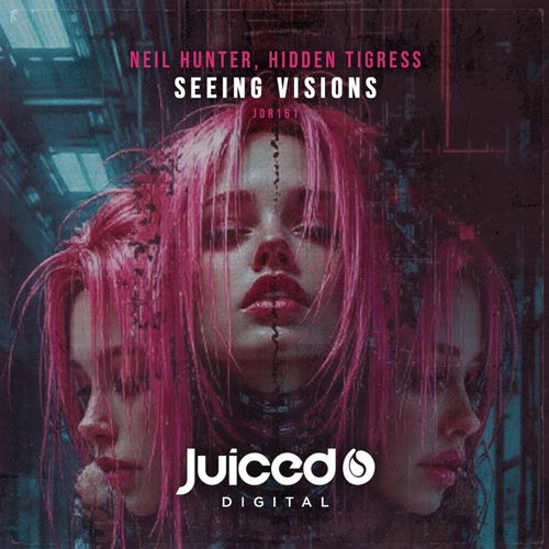 Seeing Visions