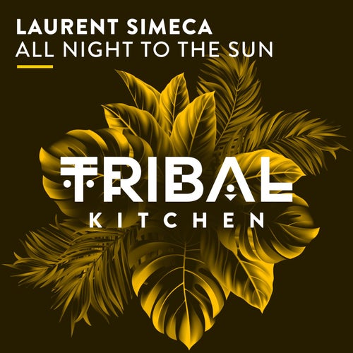 Laurent Simeca - All Night To The Sun (Original Mix).mp3