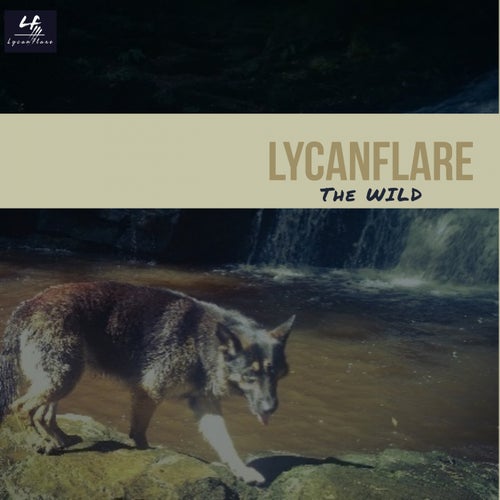 Cover art for The Wild