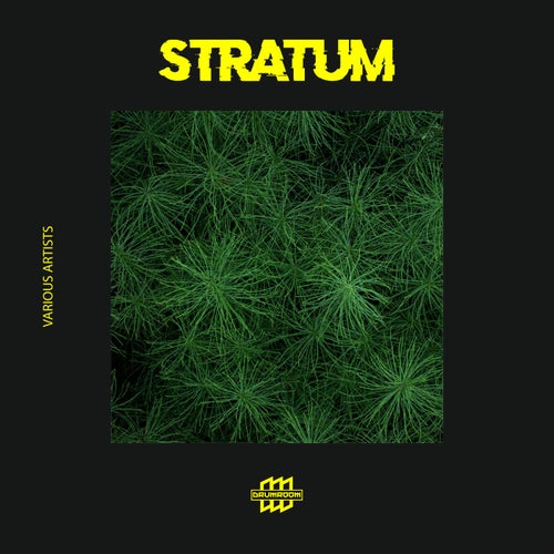 Stratum