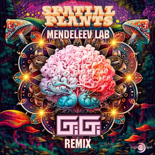 VA -  Spatial Plants - Mendeleev Lab (Gigi Remix) (2024) [MP3] 73432b36-cb76-485b-b6bd-e61111ab44f3