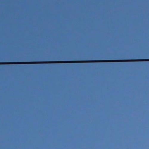 Phono:Matik
