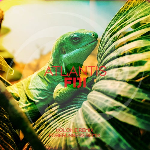Fiji - The Remixes