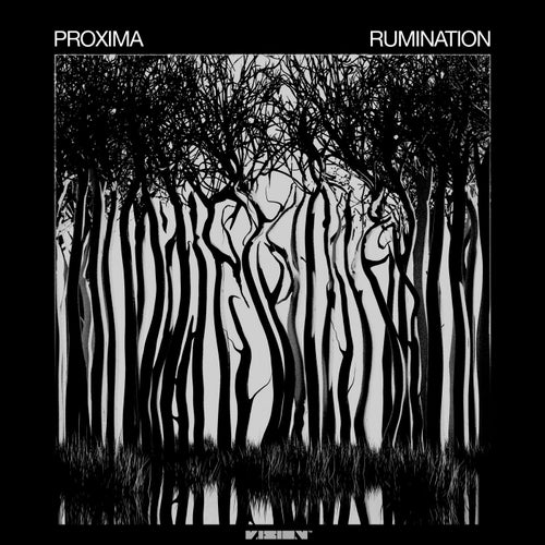 Rumination