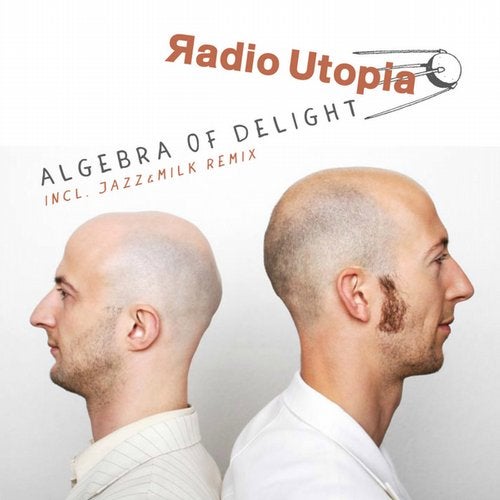 Algebra of Delight