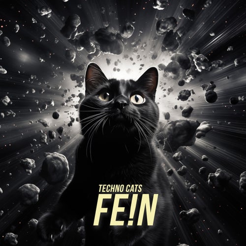 FE!N