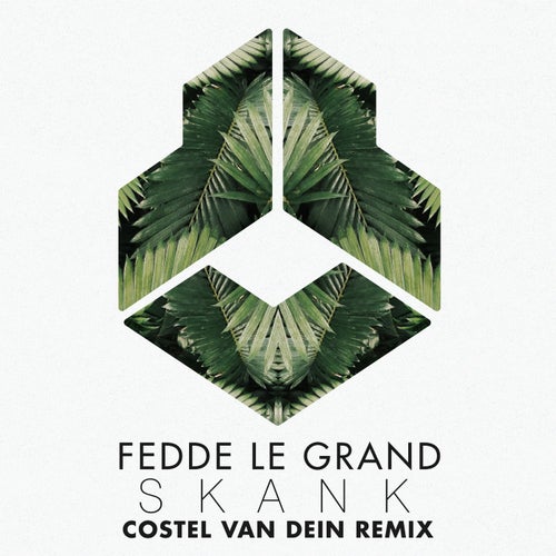 Skank - Costel van Dein Remix