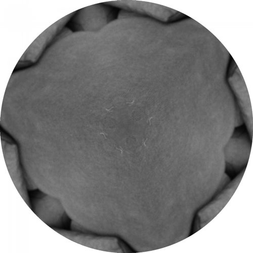 In Dushe Sampler 006