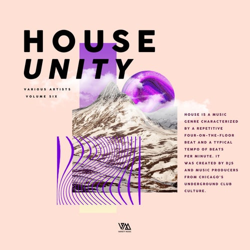 House Unity Vol. 6 VMCOMP1719 FLAC - Variety Music