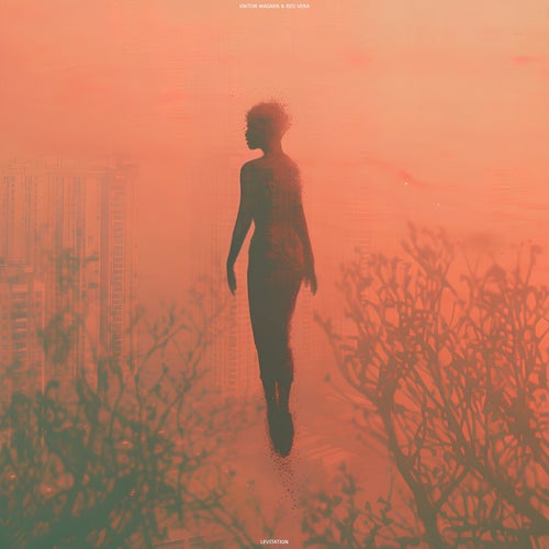 Levitation