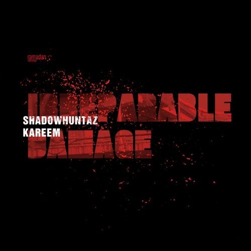 Cover art for Irreparable Damage