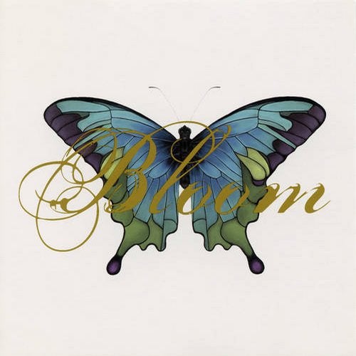 Cover art for Bloom (Remix Album)