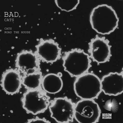 Cats EP