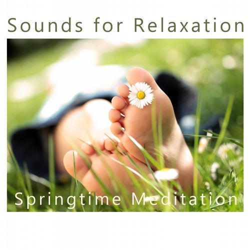 Springtime Meditation