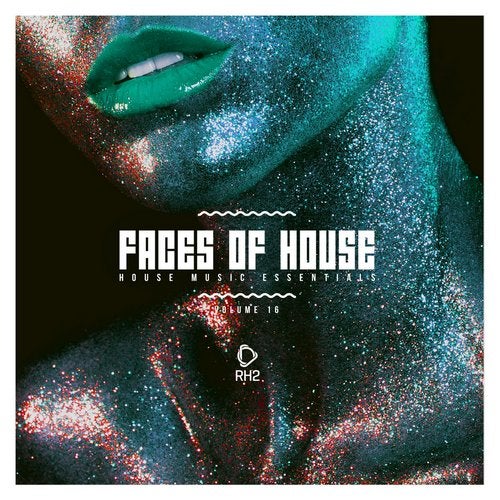 Cover art for Faces Of House, Vol. 16