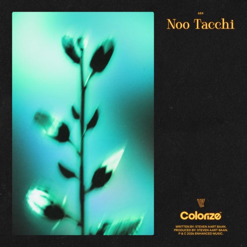 Noo Tacchi