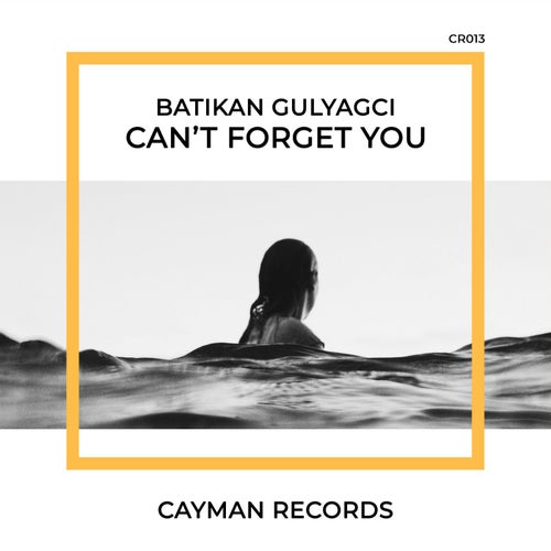 Can't Forget You