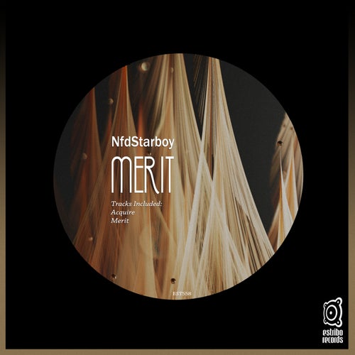  Nfdstarboy - Merit (2023) 