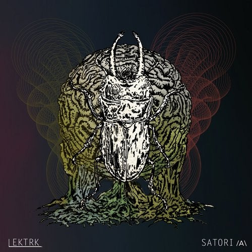 Cover art for Satori A