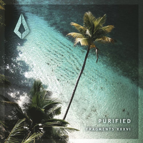 Purified Fragments XXXVI